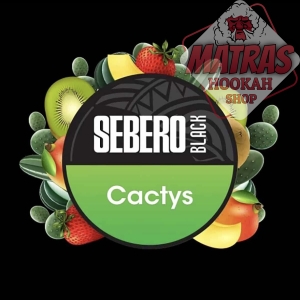 Sebero Black 25gr. Cactys